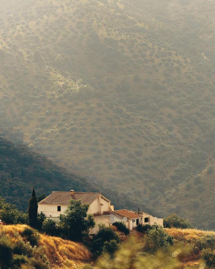 Finca Serrato Колменар Екстериор снимка